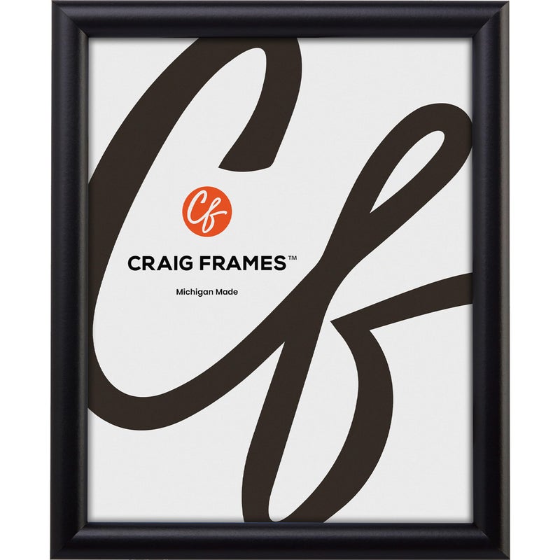 Craig Frames FW2BK 10 x 13-Inch Picture Frame, Smooth Finish, 0.765-Inch Wide, Black - Image 1